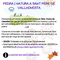 --Passejada guiada: Pedra i natura a Sant Pere de Vallhonesta